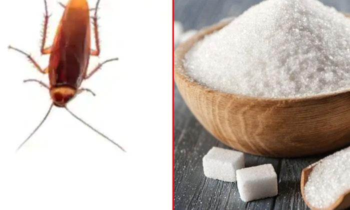  Other Uses Of Sugar! Other Uses Of Sugar, Sugar, Benefits Of Sugar, Latest News,-TeluguStop.com