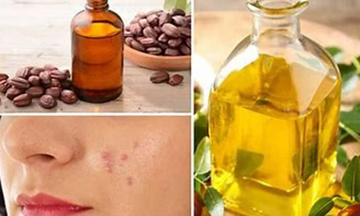 Telugu Benefitsjojoba, Care, Jojoba Oil, Jojoba Oil Lips, Jojoba Oil Skin, Lates