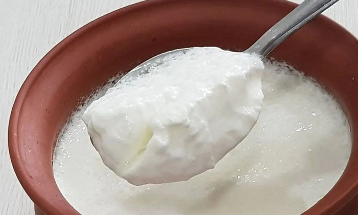  Effects Of Curd For Knee Pain Patients! Effects Of Curd, Curd, Latest News, Knee-TeluguStop.com