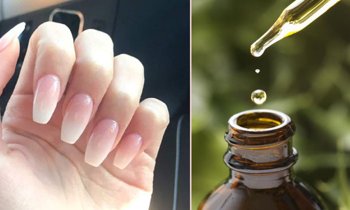  These Oils Are Best To Get Strong Nails! Oils, Strong Nails, Beautiful Nails, Na-TeluguStop.com