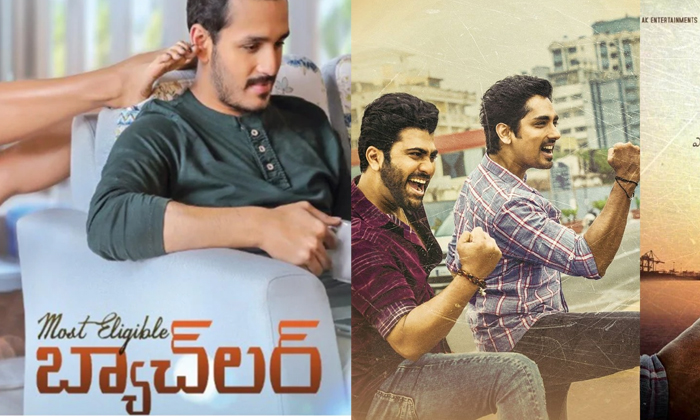  Maha Samudram Vs Bachelor Movie Dasara Boxoffice Fight-TeluguStop.com