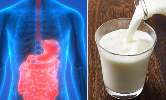  Health Benefits Of Drinking Milk At Night! Milk, Benefits Of Milk, Milk For Heal-TeluguStop.com