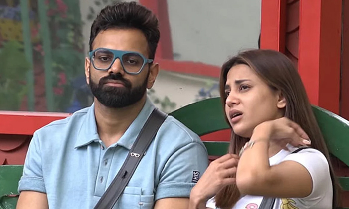  Reasons Behind Hameeda Elimination In Bigg Boss House Details, Bigg Boss House,-TeluguStop.com