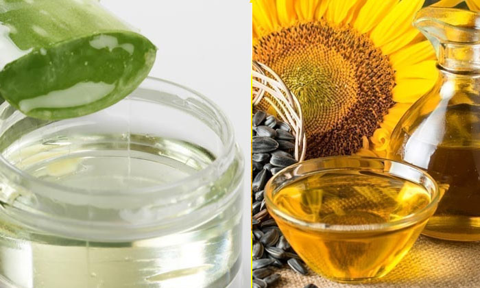  Sunflower Oil Helps To Get Rid Of Pimples Naturally! Sunflower Oil, Pimples, Lat-TeluguStop.com