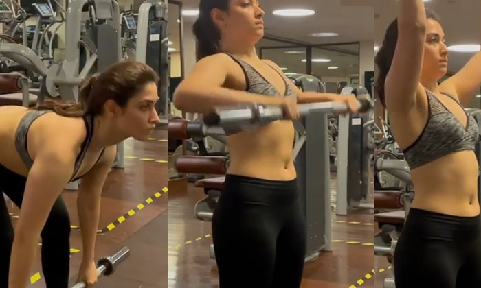  Video Tamannaah Bhatia Gives Glimpse Of Her Intense Workout As She Flaunts Her T-TeluguStop.com