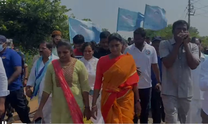  8th Day Ys Sharmila Padayatra . , Ys Sharmila , Prajaprasthanam , Ysr Telengana-TeluguStop.com