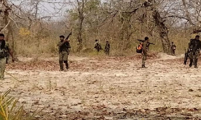  26 Maoists Killed In Police Encounter In Maharashtra’s Gadchiroli-TeluguStop.com