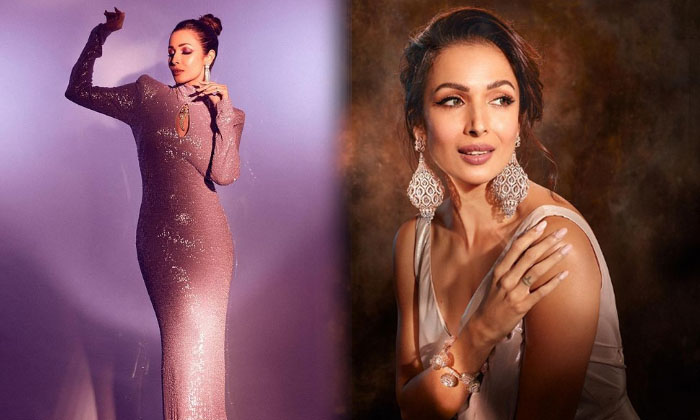 Actress Malaika Arora Spells Magic On Us With Her Beautiful Pictures-telugu Actress Photos Actress Malaika Arora Spells High Resolution Photo