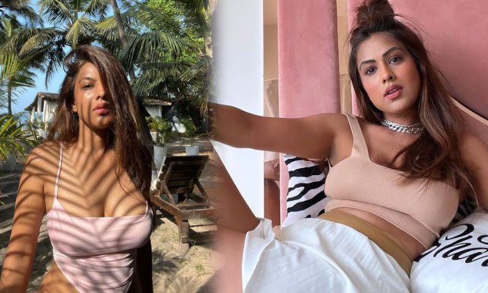 Actress Nia Sharma Melts Our Heart With These Pictures-telugu Actress Photos Actress Nia Sharma Melts Our Heart With The High Resolution Photo