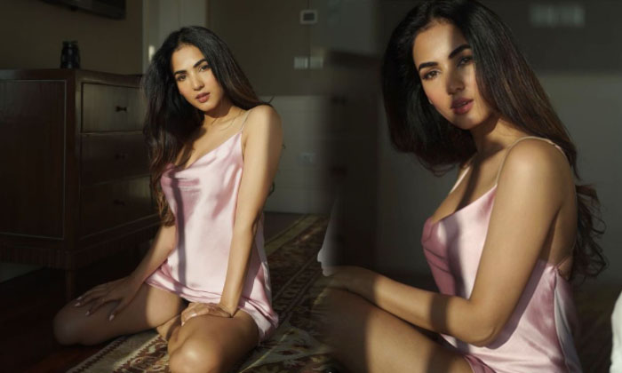 Actress Sonal Chauhan Looks Simply Gorgeous In This Pictures-telugu Actress Photos Actress Sonal Chauhan Looks Simply Go High Resolution Photo