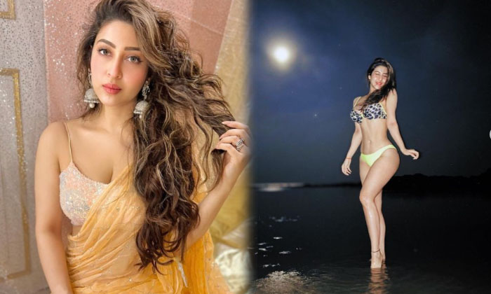 Sonarika Bhadoria Spicy Images-telugu Actress Photos Sonarika Bhadoria Spicy Images - Actresssonarika High Resolution Photo