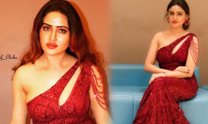 Actress Sony Charishta Melts Our Heart With These Pictures-telugu Actress Photos Actress Sony Charishta Melts Our Heart High Resolution Photo