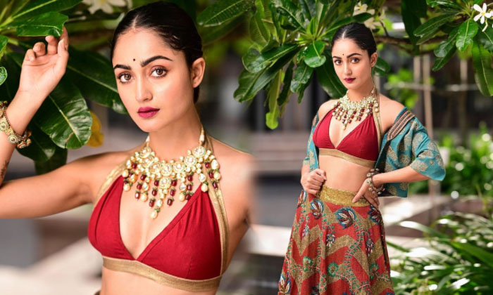 Actress Tridha Choudhury Looks Hot In This Pictures-telugu Actress Photos Actress Tridha Choudhury Looks Hot In This Pic High Resolution Photo