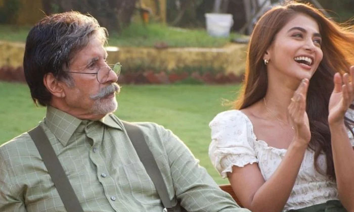  Pooja Hegde Ticks Dream Off Her Bucket List.. Shoots With 'legend' Amitabh Bachc-TeluguStop.com