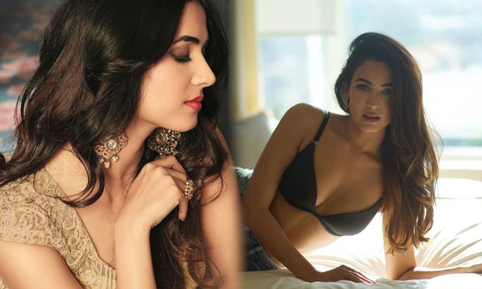 Bollywood Actress Sonal Chauhan Spicy Images-telugu Actress Photos Bollywood Actress Sonal Chauhan Spicy Images - Sonalc High Resolution Photo