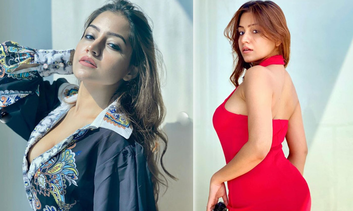 Bollywood Actress Simran Is Too Hot To Handle In This Pictures-telugu Actress Photos Bollywood Actress Simran Is Too Hot High Resolution Photo