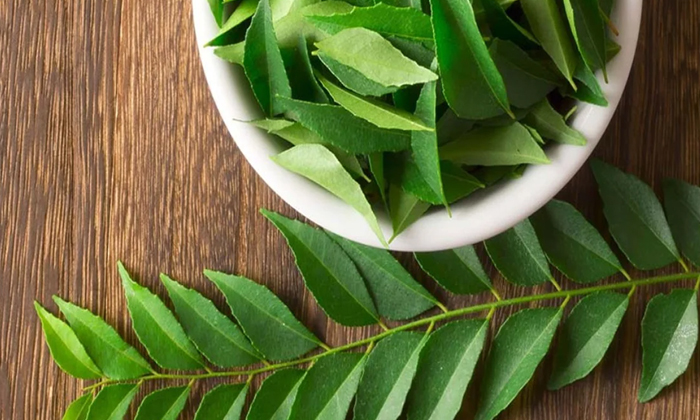  Healthbenefits Of Curry Leaves In Telugu , Curry  Leaves , Stems, Bark , Kidney-TeluguStop.com