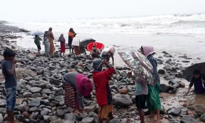  Treasure Hunters Strike It Rich On Uppada Coast, Andhra Pradesh, East Godavari,-TeluguStop.com