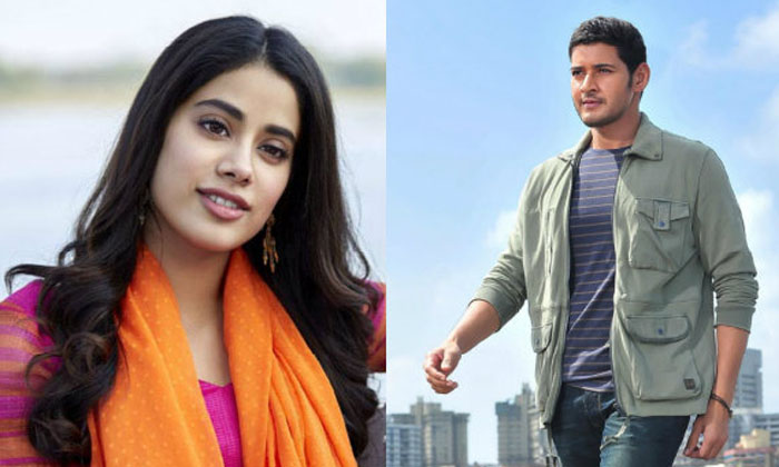  After Ntr Jahnvi Kapoor In Mahesh Movie, Ntr  , Jahnvi Kapoor ,  Mahesh Movie ,-TeluguStop.com