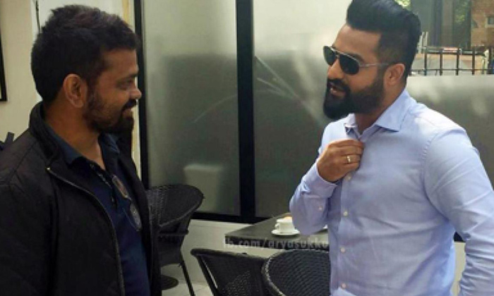 Telugu Sukumar, Jr Ntr, Ntrnannaku, Tollywood-Movie