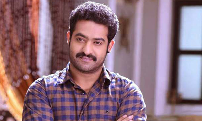  Ntr Gave Warning To Director Sukumar, Director Sukumar, Ntr, Ntr Nannaku Premath-TeluguStop.com