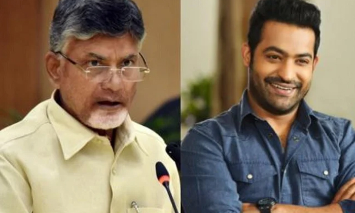  Ntr Fan's Shock To Chandrababu , Ntr, Chandrababu-TeluguStop.com