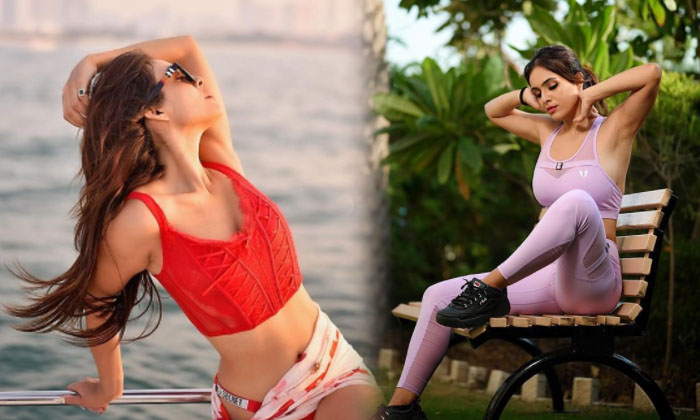 Neha Malik Hot And Sexy Pictures-telugu Actress Photos Neha Malik Hot And Sexy Pictures - Pics Nehamalik High Resolution Photo