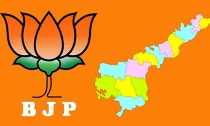  Amravati Farmers Suspicion On Bjp Padayatra Ap Bjp, Tdp, Chandrababu, Jagan, Cbn-TeluguStop.com