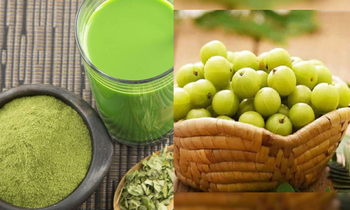  Health Benefits Of Amla And Moringa Leaves Drink! Health, Benefits Of Amla And M-TeluguStop.com