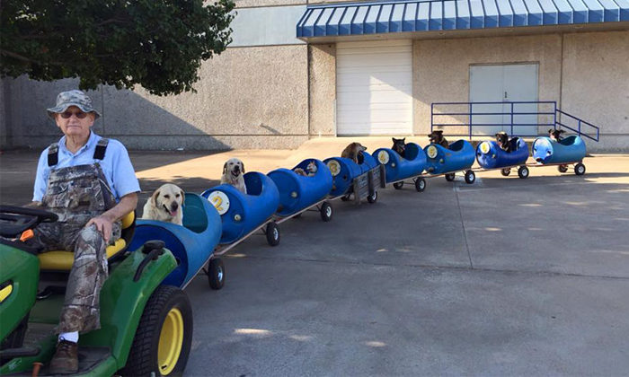  An 80 Years Old Texas Man Built Toy Train To Bring Joy In Dogs Details , Viral L-TeluguStop.com