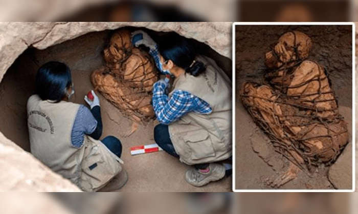  Archaeologists Found 800 Years Old Mummy In Peru Country-వైరల్: తవ్వకాల్లో 800 సంవత్సరాల నాటి మమ్మీ బట్టబయలు..-General-Telugu-Telugu Tollywood Photo Image-TeluguStop.com