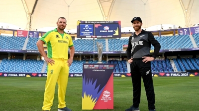  Close In: The T20 World Cup Format Must Be Drastically Changed-TeluguStop.com