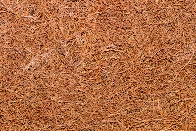  Coir Businesses To Suffer As Tnpcb Places Them In The Polluting Industries Categ-TeluguStop.com