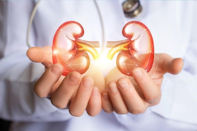  Covid Can Directly Infect The Kidneys: Study-TeluguStop.com
