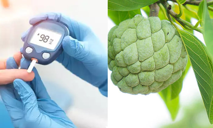  Amazing Benefits Of Custard Apple Leaves! Benefits Of Custard Apple Leaves, Cust-TeluguStop.com