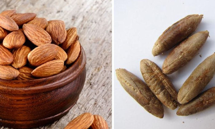  Date Seeds Help To Increase Eyebrow Growth! Date Seeds, Eyebrows Growth, Eyebrow-TeluguStop.com