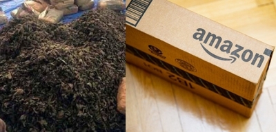  Amazon Was Selling Ganja Under The Guise Stevia Dry Leaves.-TeluguStop.com