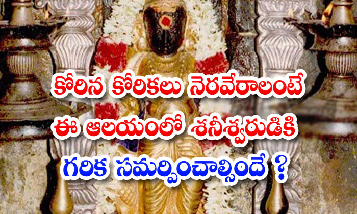  Their Wishes Will Be Fulfilled By Offering Garika To Shani In This Temple-TeluguStop.com