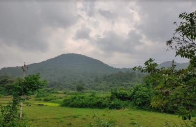 Over 5,600 People Respond To Govt’s Proposal For Amending Forest Conservat-TeluguStop.com