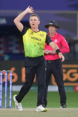  Maxwell Calls Zampa A “star” And Praises Zampa’s Performance At T2-TeluguStop.com