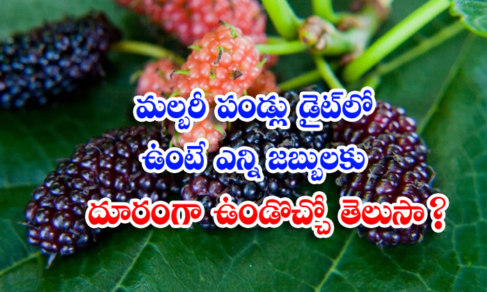  Wonderful Health Benefits Of Mulberry Fruit-TeluguStop.com