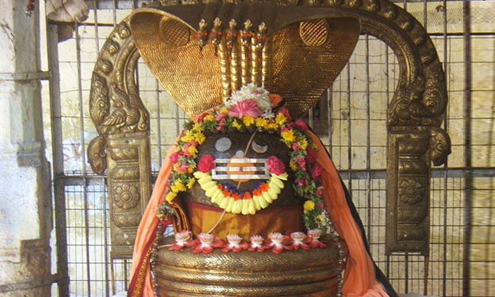  Do You Know The Result Of Worshiping Any Shivalinga In The Month Of Karthika  Sh-TeluguStop.com