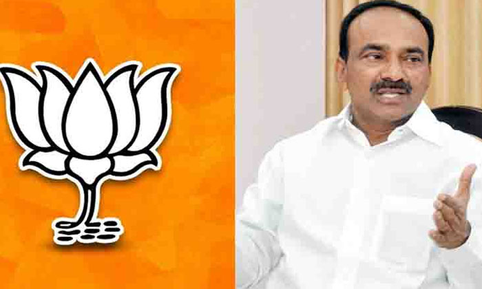 Telugu Bjp, Etela Rajendar, Etela Rajender, Gellusrinivas, Hareesh Rao, Hujuraba