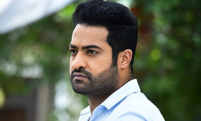  Interesting Facts About Junior Ntr In Telugu Desham Party Surveys , Chandrababu,-TeluguStop.com