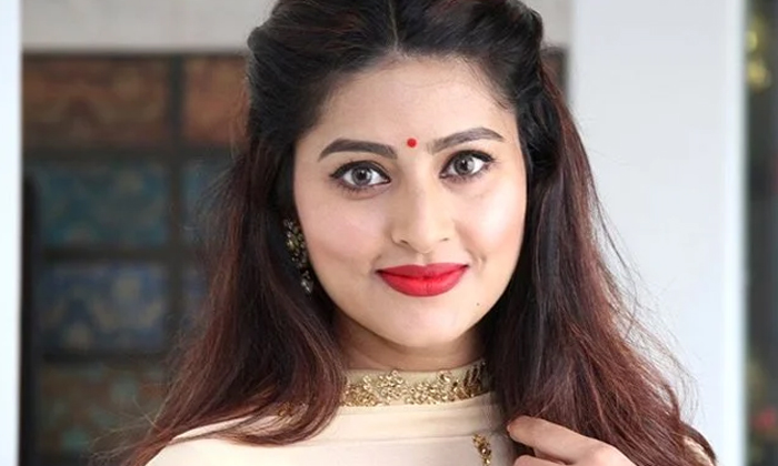 Actress Sneha  Files Complaint Two Business Man Chennai , Actress Sneha , Chenna-TeluguStop.com