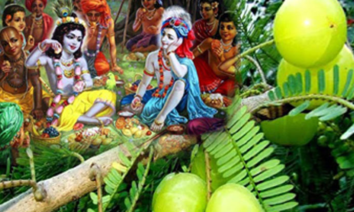  Do You Know The-importance Of Meals Under The Alma Tree In The Month Of Karthika-TeluguStop.com