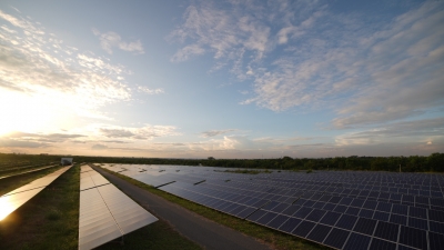  Mcl To Establish 50mw Solar Power Plant At Odisha-TeluguStop.com