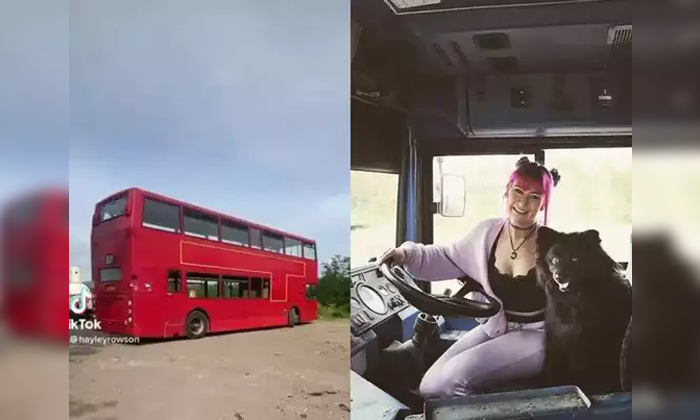  Model Hayley Rowson Truner Her Double Decker Bus Into Home, Double Dekker Bus, C-TeluguStop.com