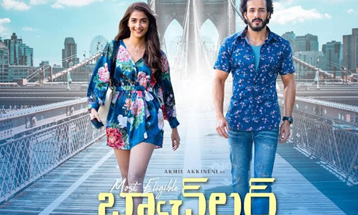 Telugu Crore Club, Akhil Akkineni, America, Pooja Hegde, Tollywood-Movie