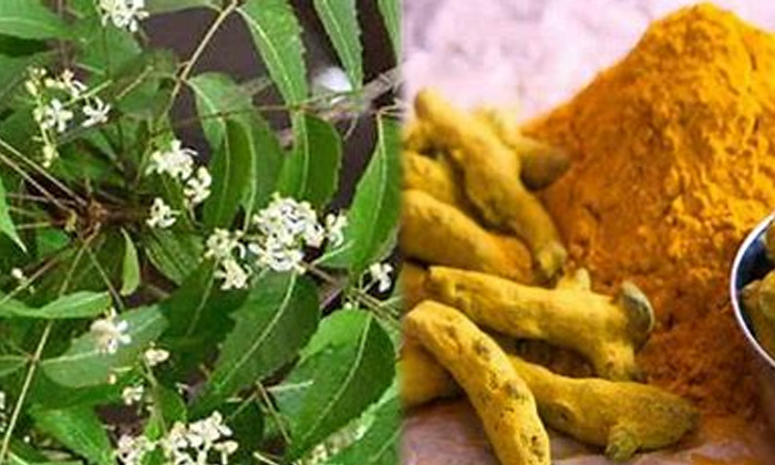 Telugu Tips, Benefitsneem, Dark Circles, Latest, Neem Flowers, Skin Care, Skin C